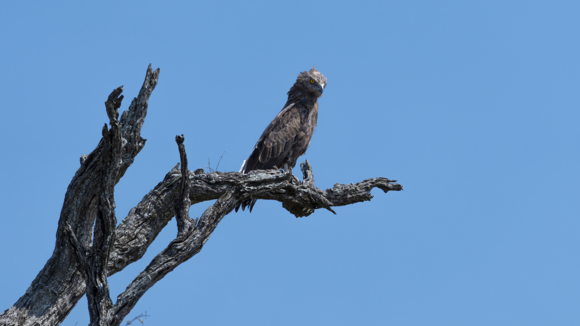 Kruger25 2025 10 29 09 40 12 ILCE 1M2 142